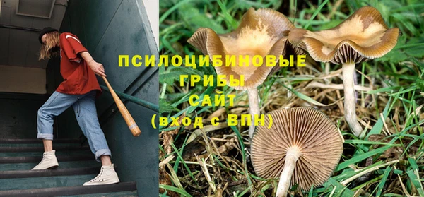 трава Балабаново